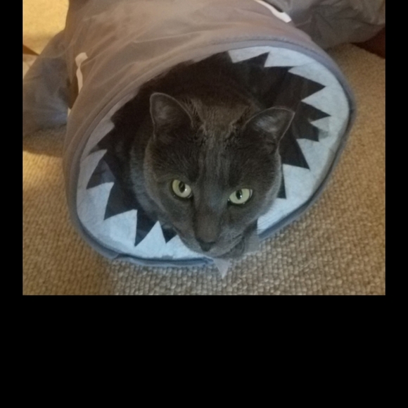 Welcome to my closet - offers welcome - Picture 1 of 4